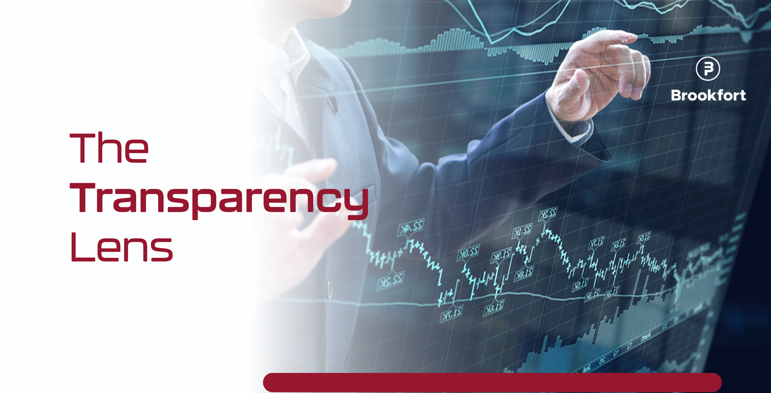 Beyond the Forms: How Authorities Analyze CRS Data and Wealth